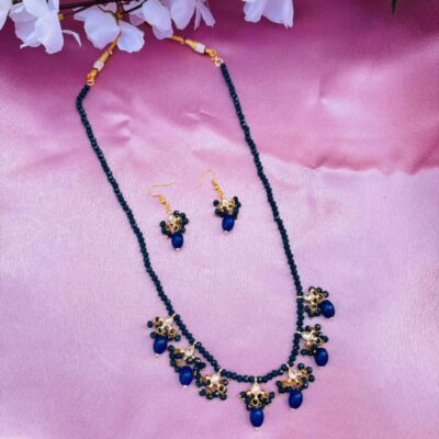 Blue Beaded Necklace Set with Drops Earrings