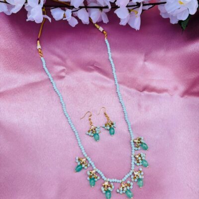 Blue Beaded Necklace Set with Drops Earrings